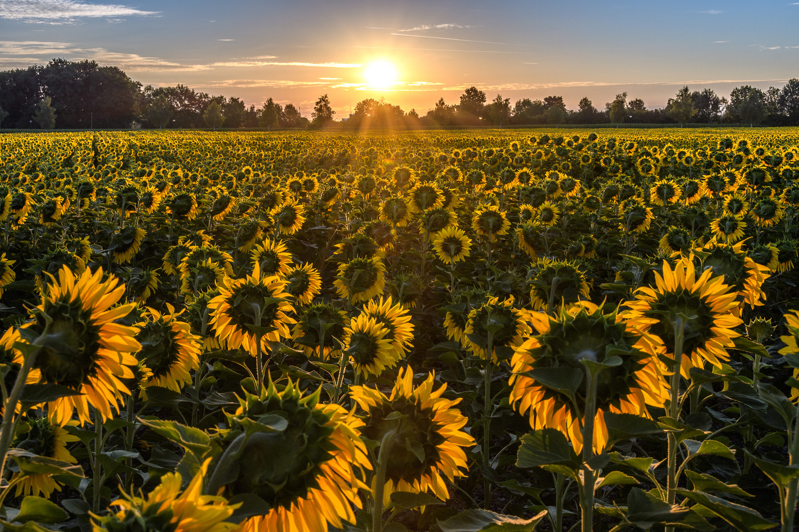 Begrüßung des Sonnengottes