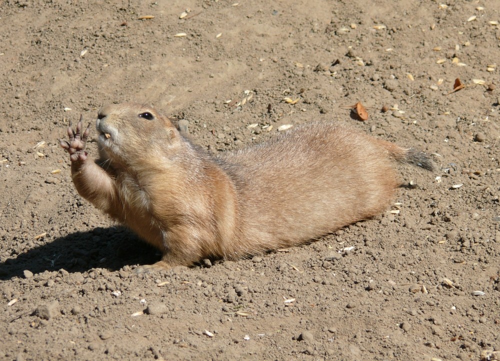 Begrüßung im Tierpark