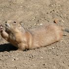 Begrüßung im Tierpark