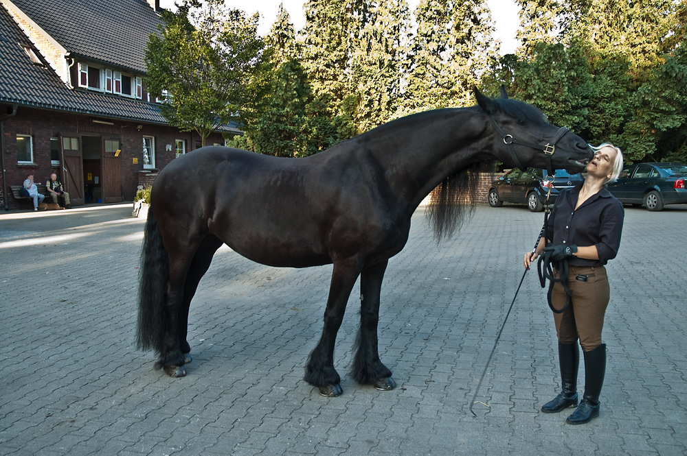 Begrüßungskuß zwischen Pferd und Reiterin