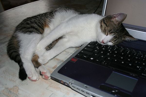 Beheiztes Kopfkissen