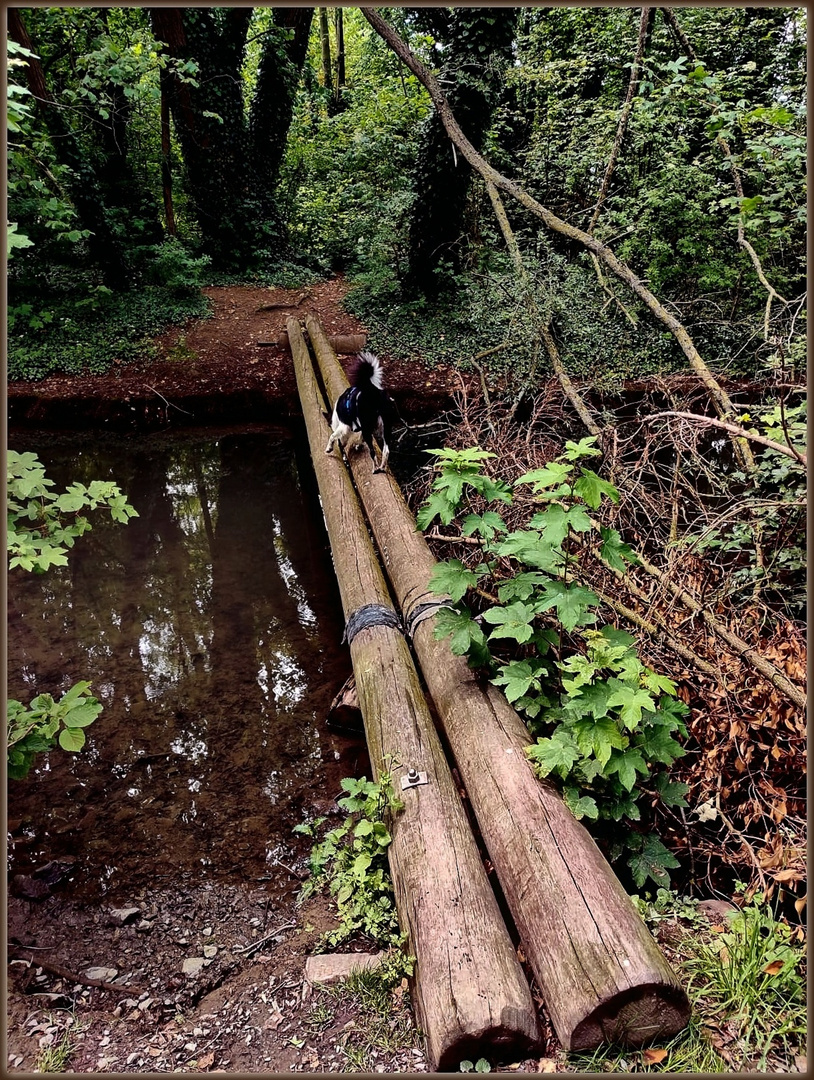 Behelfsbrücke ...