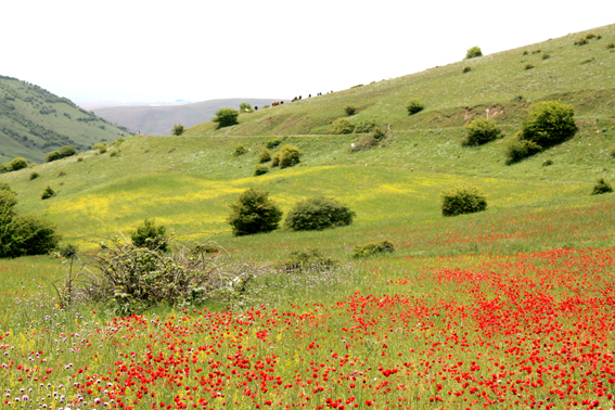 behesht