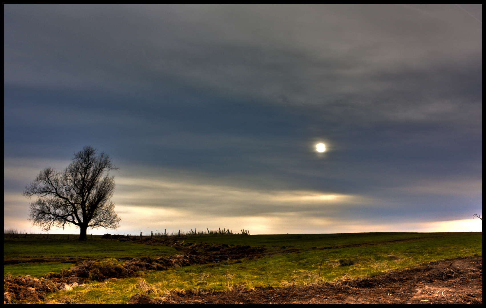 Behind my home, a grey day