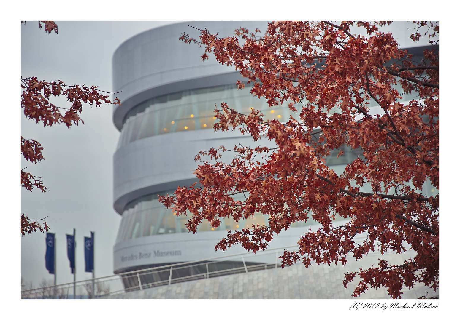 behind red leaves