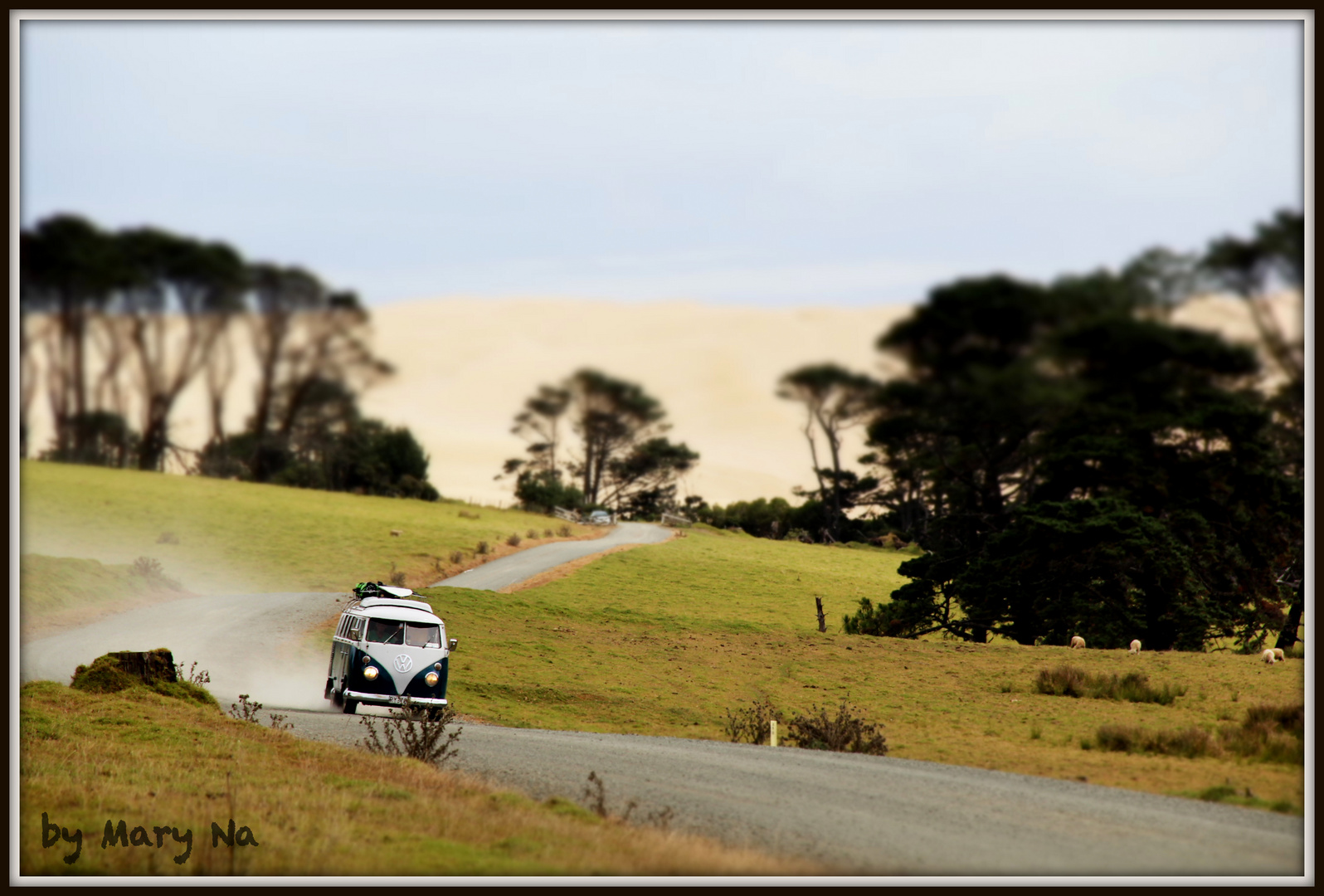 behind the 90 mile beach...