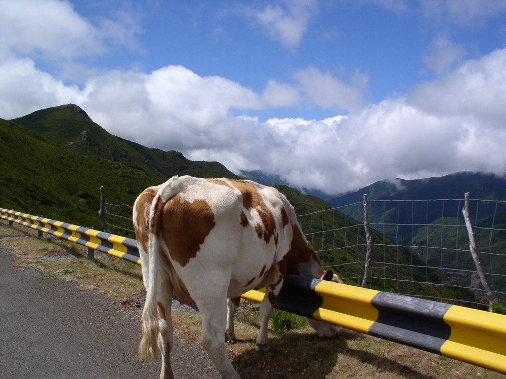 Behind the border