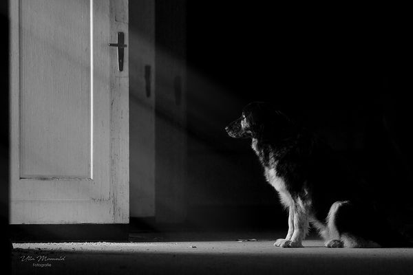 ...behind the door...