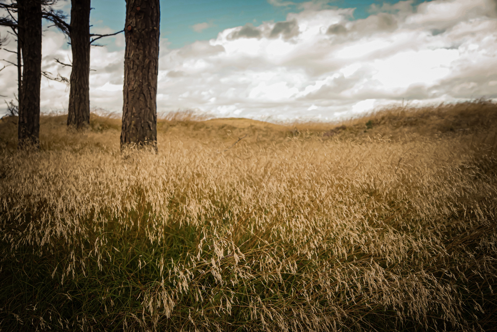 Behind the dunes