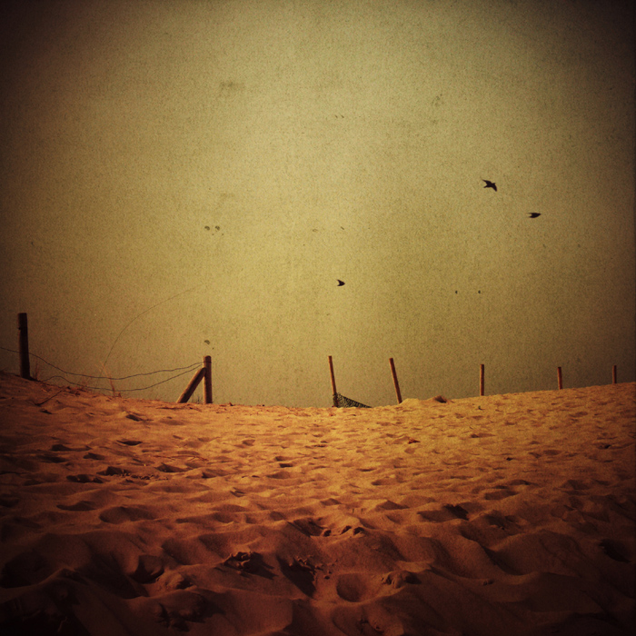 .behind the dunes