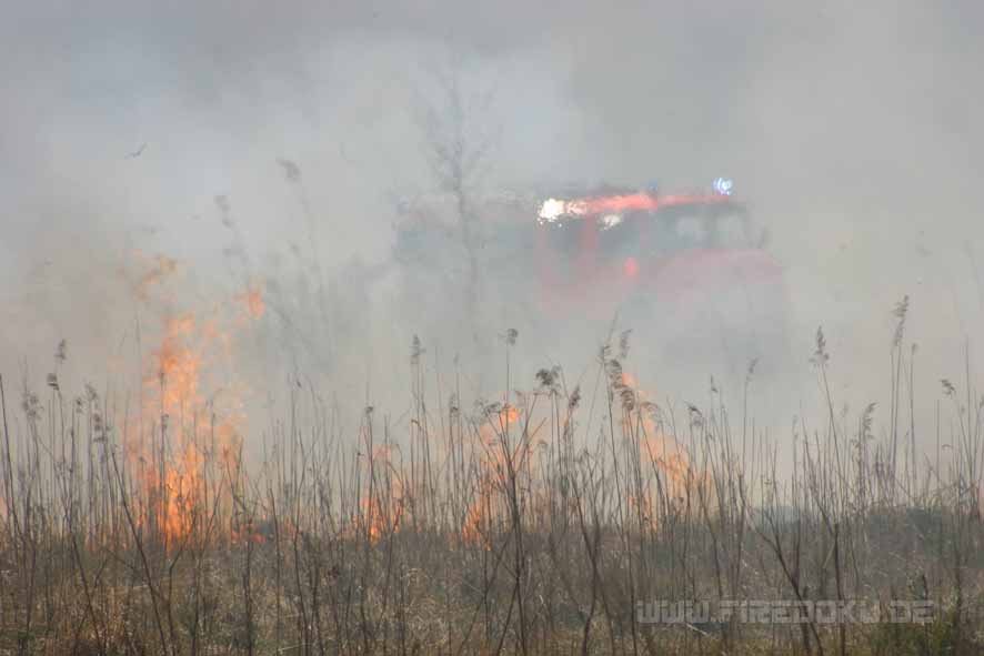 Behind the Fire