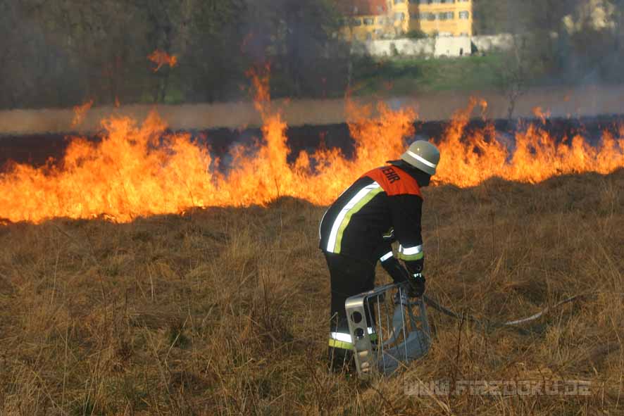 Behind the Fireline