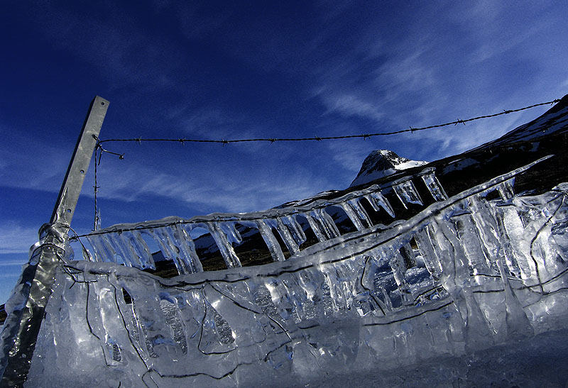 behind the ice fence