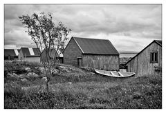 behind the sheds