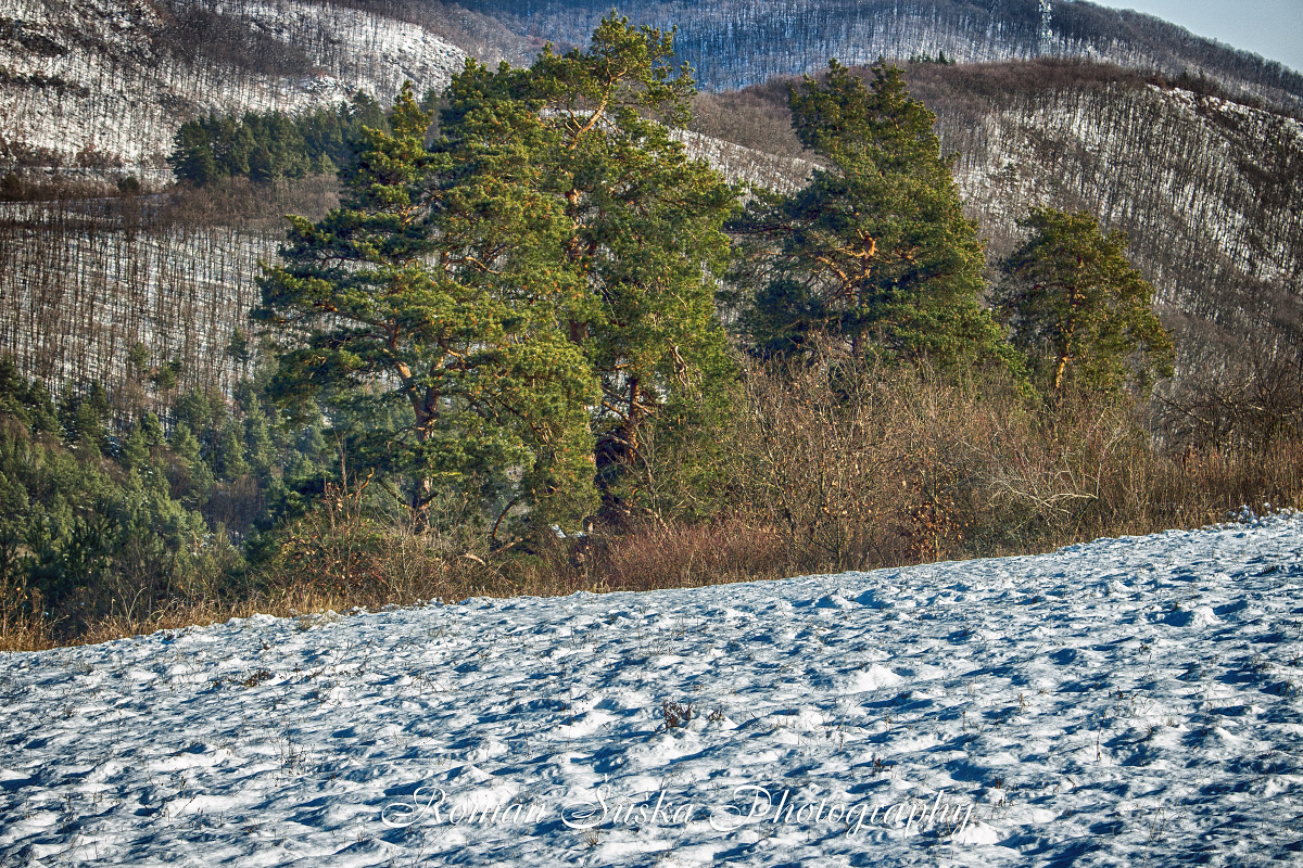 Behind the trees and hills ...  SK