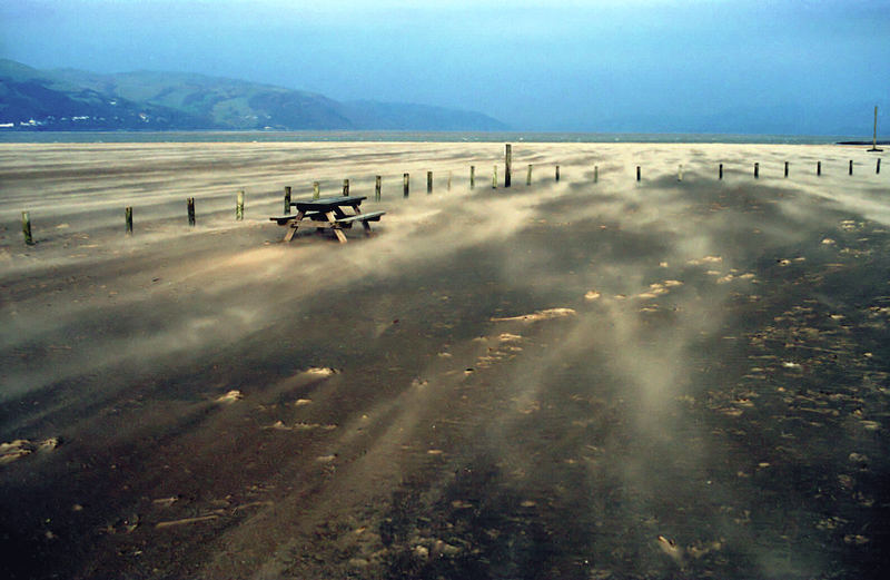 behind the Ynyslas sand dunes (Wales)