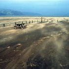 behind the Ynyslas sand dunes (Wales)