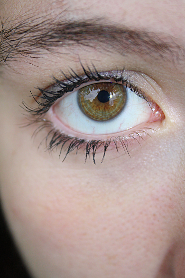 behind these hazel eyes