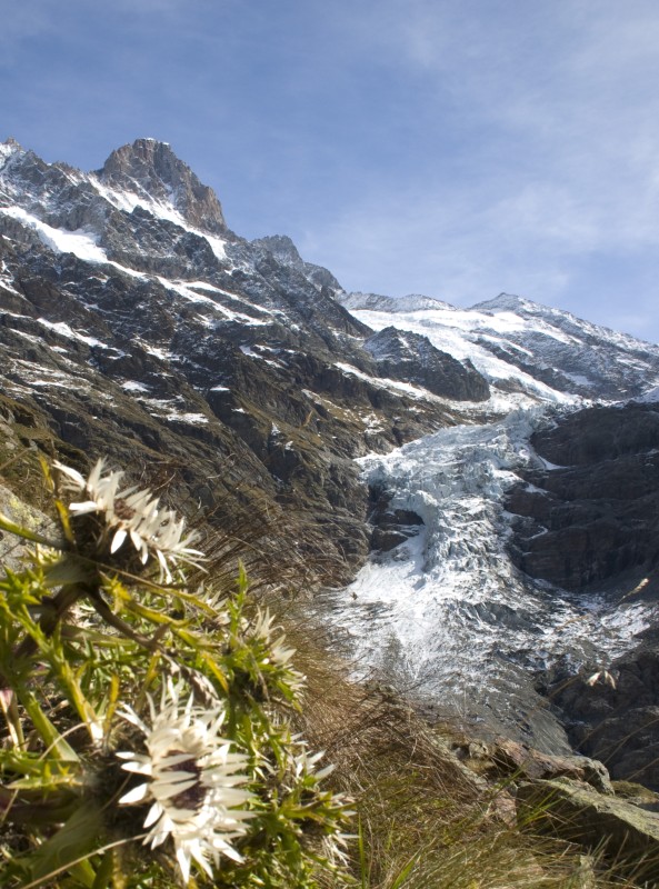 Behind Wetterhorn