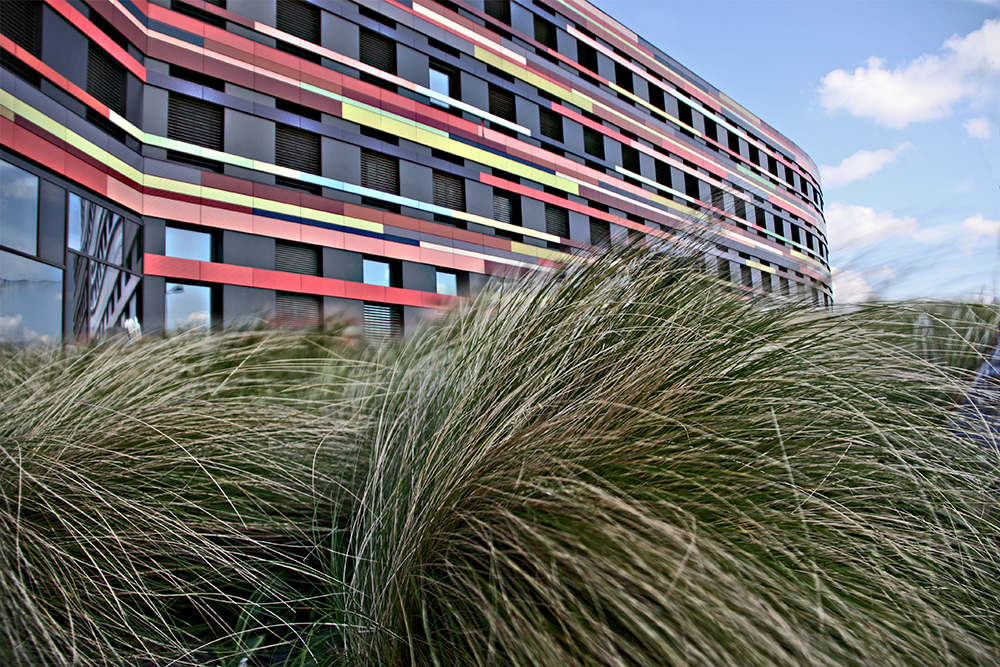 Behörde für Stadtentwicklung und Wohnen Wilhelmsburg, Hamburg 