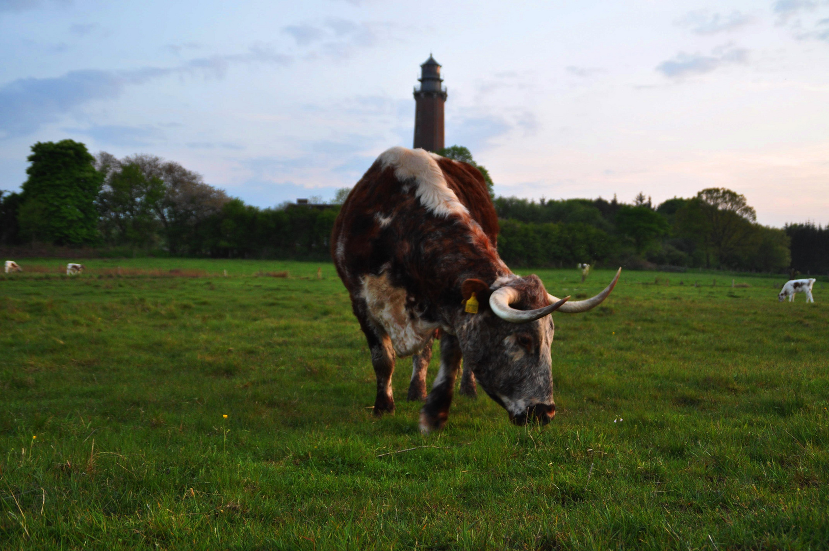 Behrensdorfer Leuchtturm.....