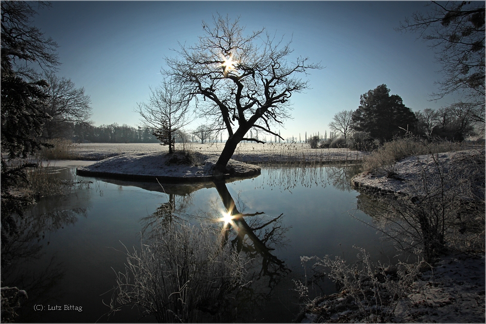 Bei -10°C im Wörlitzer Park