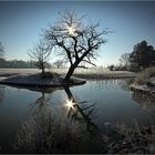 Bei -10°C im Wörlitzer Park