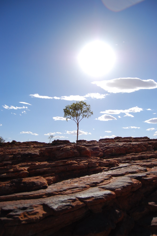 Bei 40 Grad im Schatten durch den Kings Canyon....