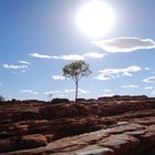 Bei 40 Grad im Schatten durch den Kings Canyon....