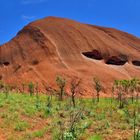 Bei 40 Grad zu Fuß rund um den Uluru