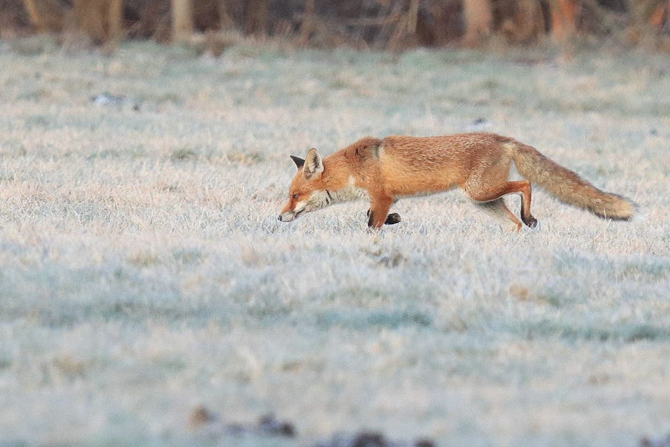 Bei -5°C heute Morgen