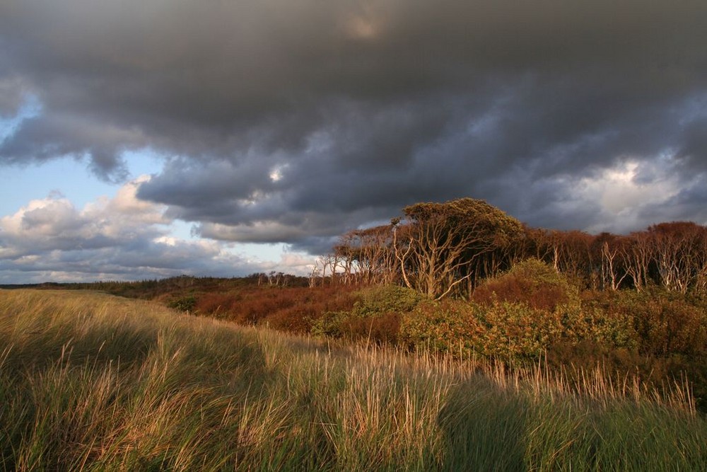 Bei Ahrenshoop