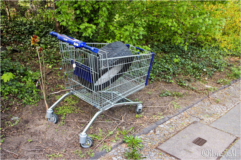 Bei ALDI gab's Reifen.