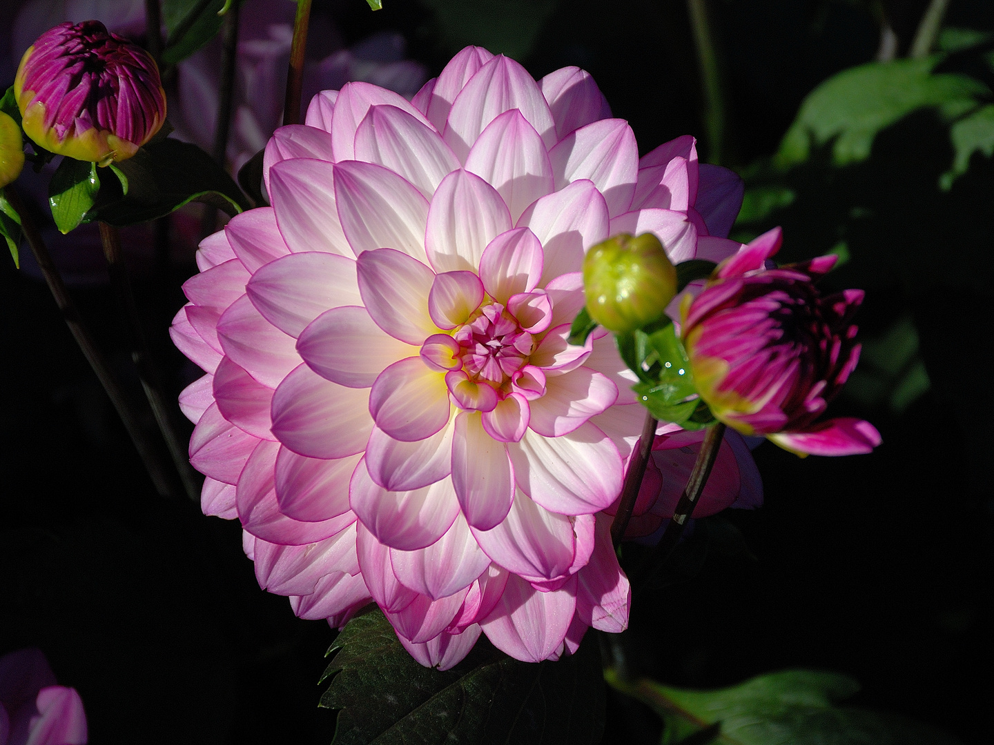 Bei aller Schönheit...