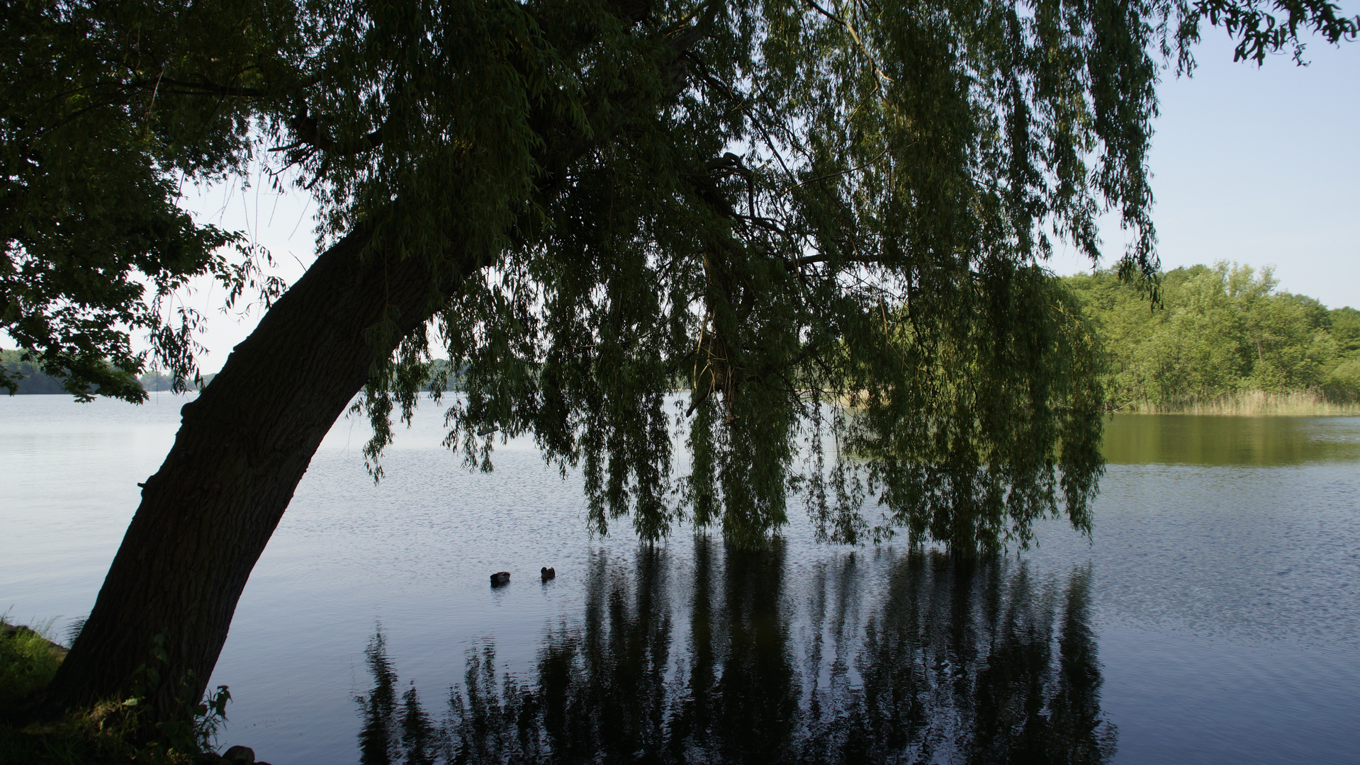 Bei Alt-Rheinsberg