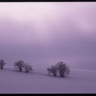 .. bei Andechs (4) ..