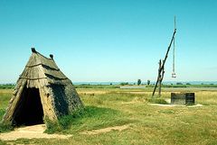 Bei Apetlon im Burgenland