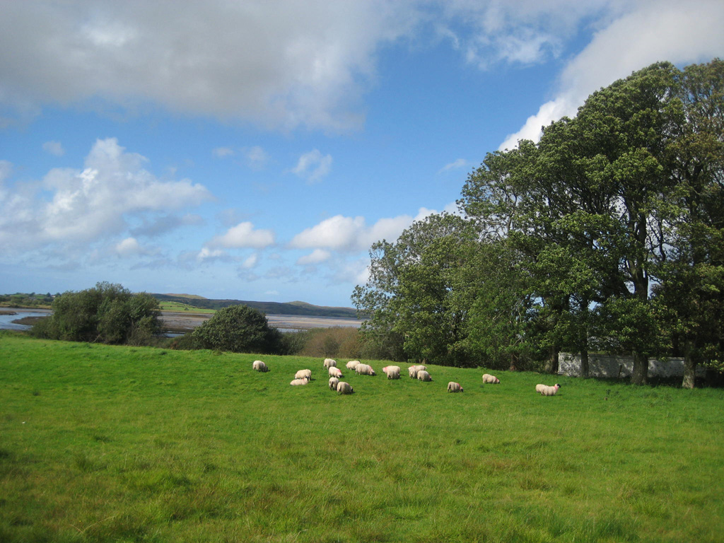 bei Ardara Irland 2011