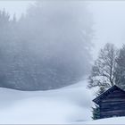 bei Baad  oberhalb vom Bärgrundbach