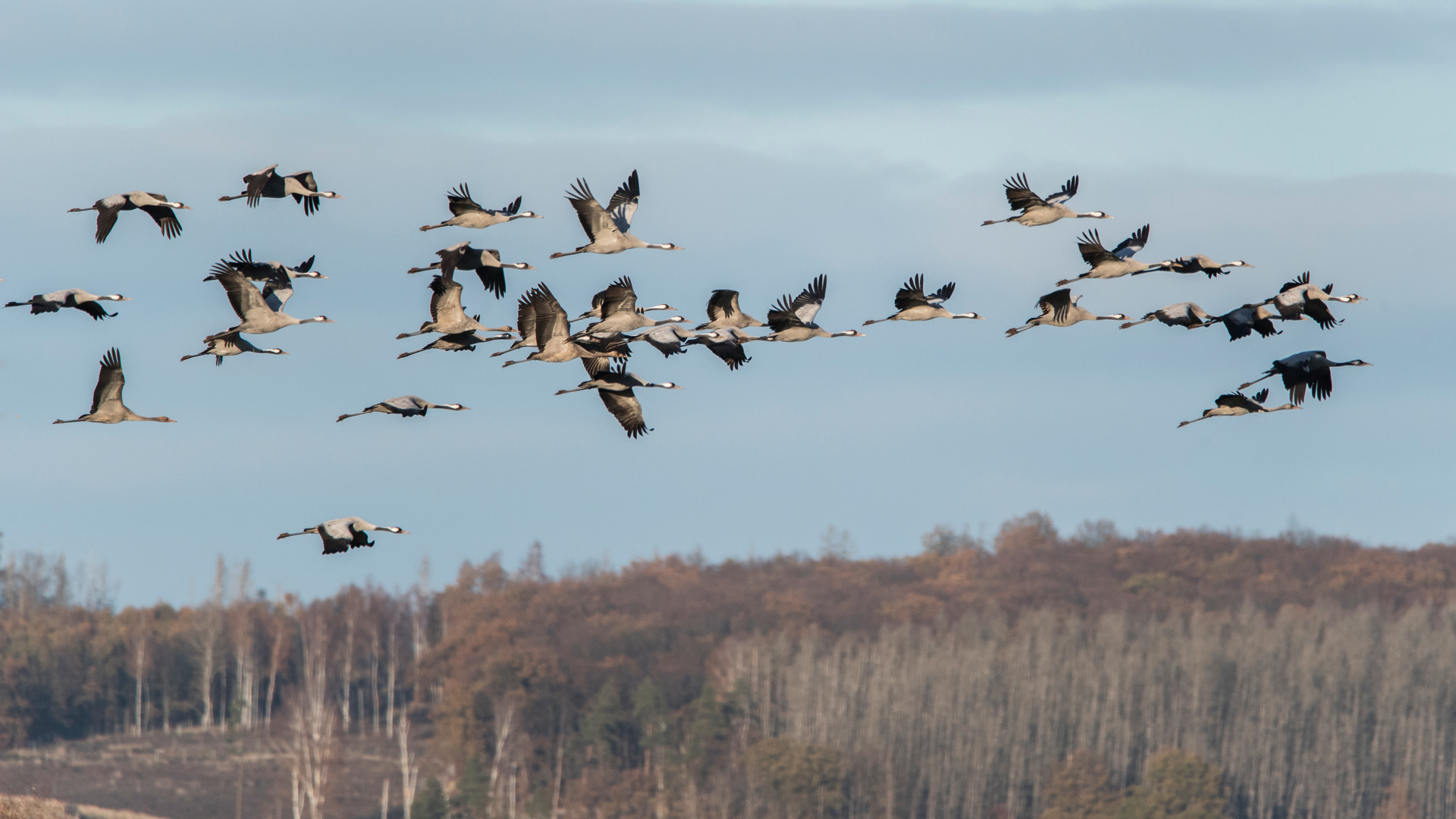 Bei bestem Flugwetter