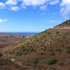 Bei Betancuria / Fuerteventura