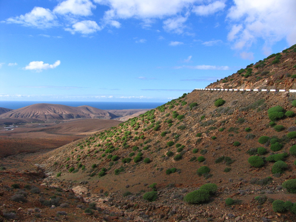 Bei Betancuria / Fuerteventura