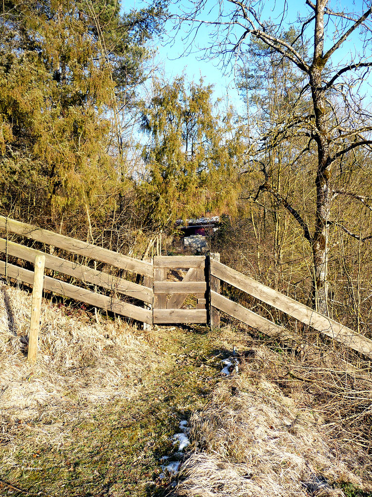 "Bei Bichishausen im Lautertal 13"