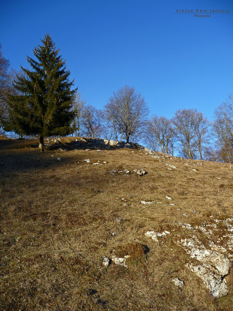 "Bei Bichishausen im Lautertal 3"