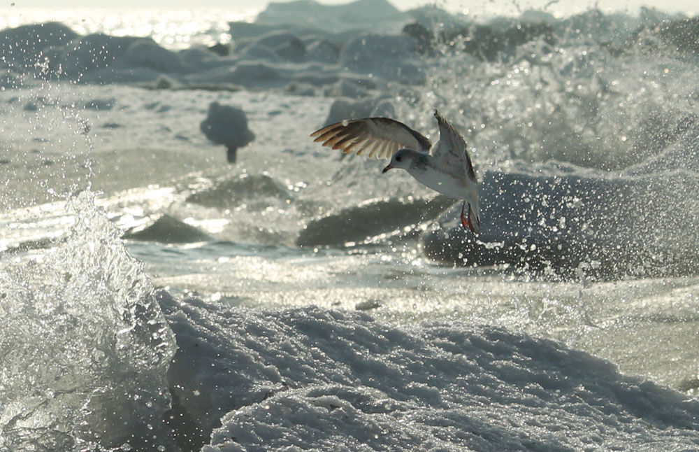 Bei Bliesdorf an der Ostsee