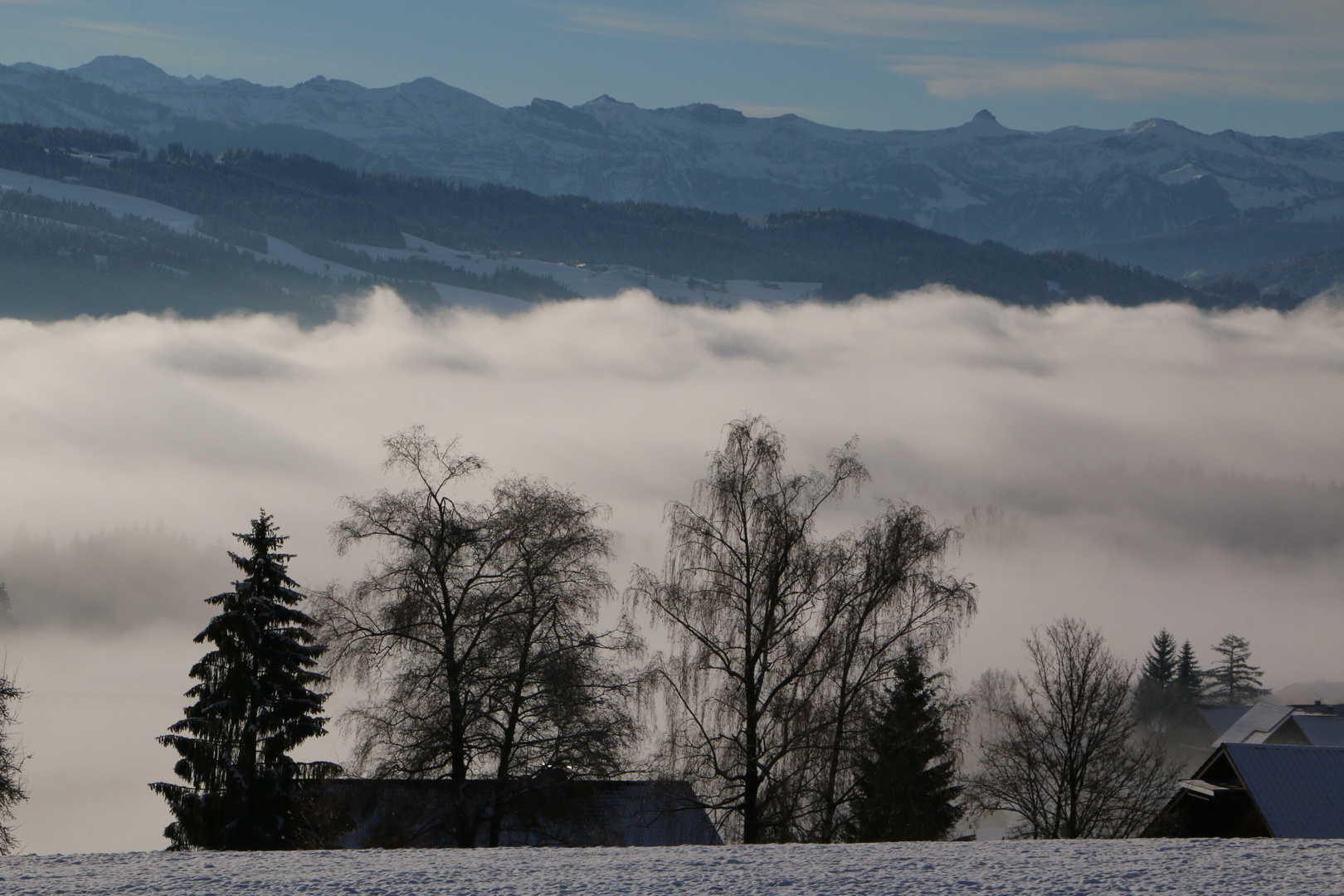 bei Böserscheidegg