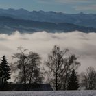 bei Böserscheidegg