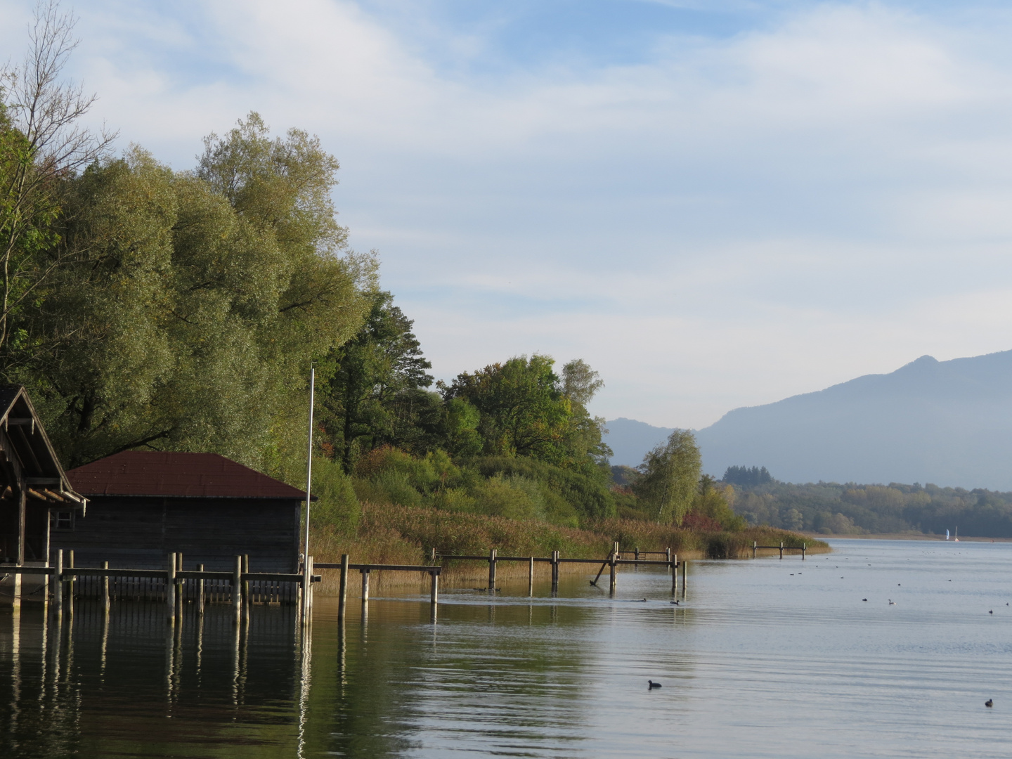 Bei Breitbrunn am Chiemsee