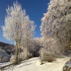 bei Brochterbeck im Schnee