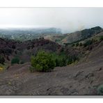 bei caldera pinos